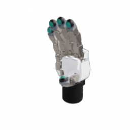 DG-5F long seed right