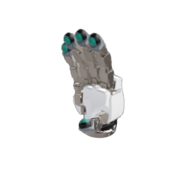 DG-5F short seed right
